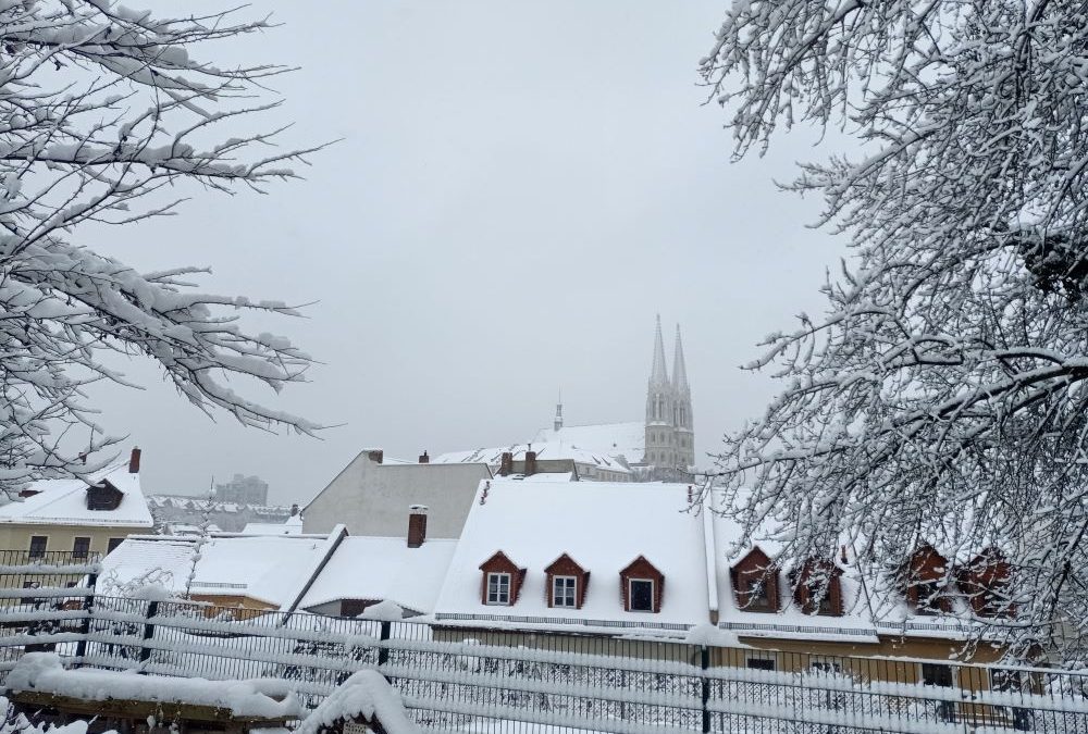 Hurra, es hat geschneit!